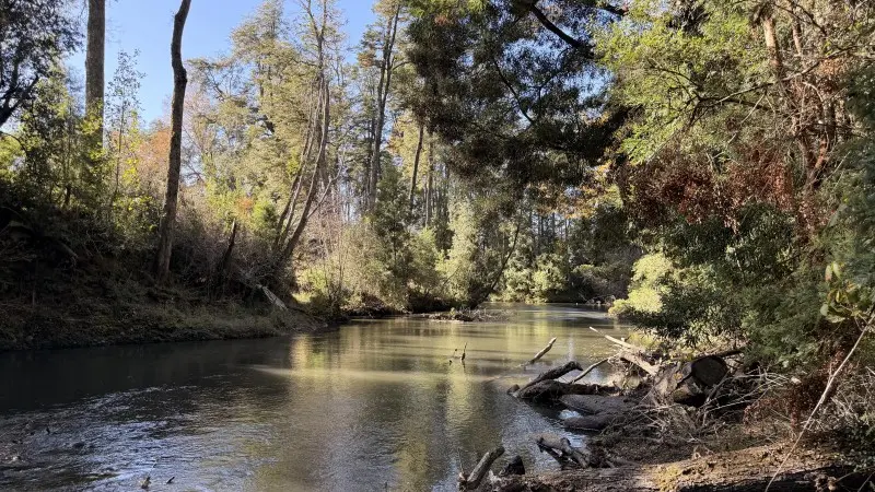 Campo de 69 ha a 5 km de Villarrica, plano, con luz, derechos de agua y río