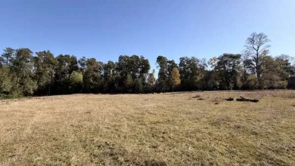 Fundo de 69 ha a 5 km de Villarrica, plano, con luz, derechos de agua y río — foto 5/31