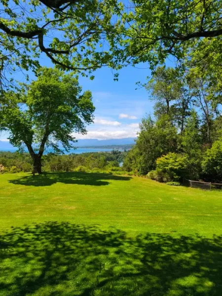 Macrolote mixto de 6,79 ha en Putúe Bajo, Villarrica: suelo urbano y agrícola — foto 2/12