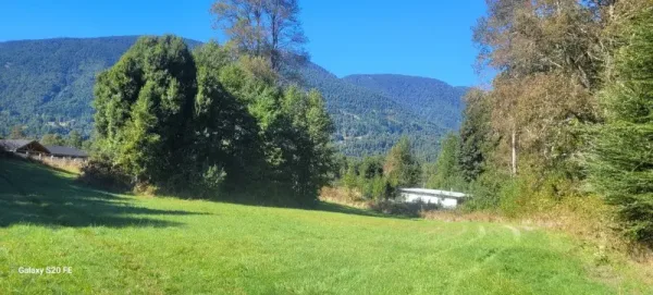 Parcela de 5.000 m² en Huife, Pucón, con rol propio, luz y agua en el circuito termal