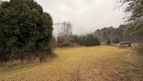 Parcela de 5.000 m² en Huife, Pucón, con rol propio, luz y agua en el circuito termal — foto 3/5