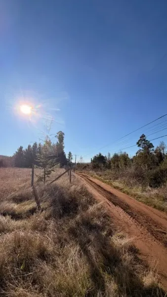 Terreno agrícola de 2,45 ha en Quesquechán, Gorbea, a orillas de la Ruta 5 Sur — foto 3/5