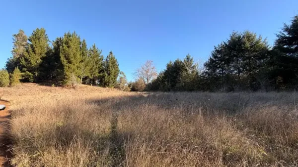 Terreno agrícola de 2,45 ha en Quesquechán, Gorbea, a orillas de la Ruta 5 Sur — foto 4/5