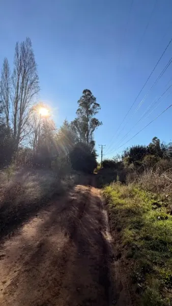 Terreno agrícola de 2,45 ha en Quesquechán, Gorbea, a orillas de la Ruta 5 Sur — foto 5/5