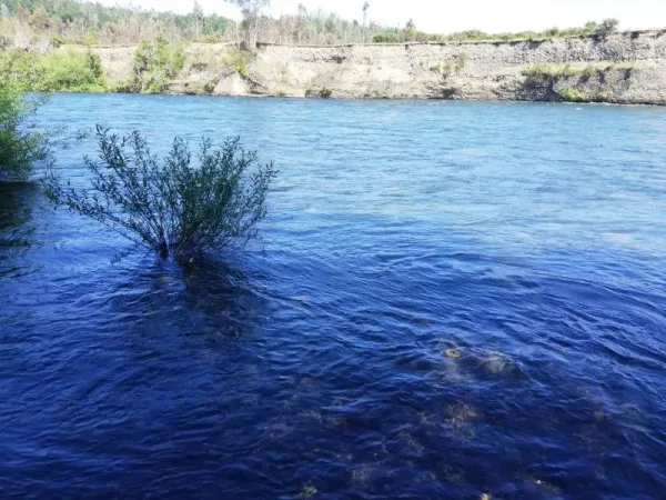 Parcelas desde 5.000 m² en el loteo Riberas del Toltén, camino Villarrica-Freire — foto 4/9