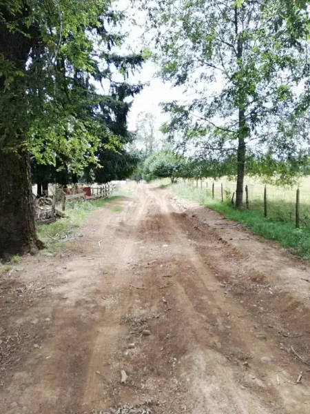 Campo de 30 ha en Loncoche, con casa principal, galpones y buenos accesos — foto 3/9
