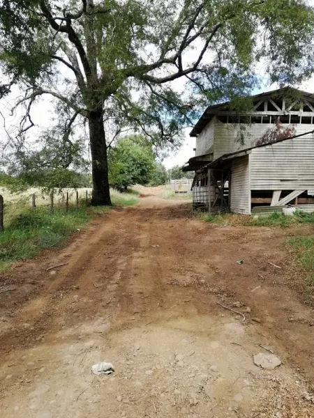 Campo de 30 ha en Loncoche, con casa principal, galpones y buenos accesos — foto 4/9