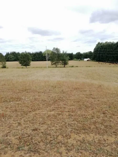 Campo de 30 ha en Loncoche, con casa principal, galpones y buenos accesos — foto 5/9
