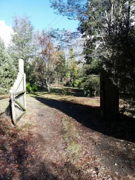 Parcela de 5.154 m² con dos casas y bosque nativo en Villarrica — foto 2/7