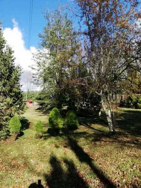 Parcela de 5.154 m² con dos casas y bosque nativo en Villarrica — foto 3/7